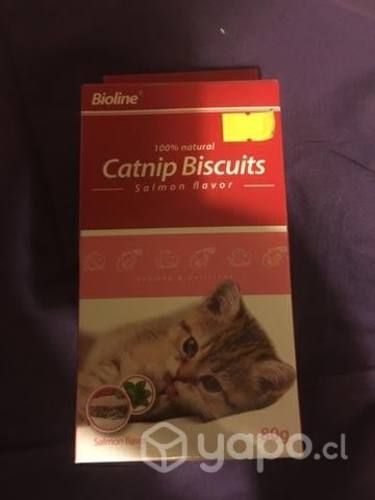 Galletas catnip gatitos
