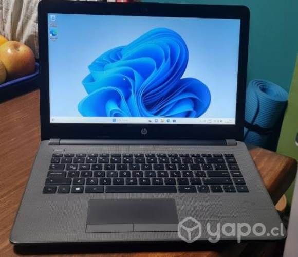 NoteBooks HP Modelo 240, Gen 6