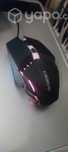 Mouse gamer