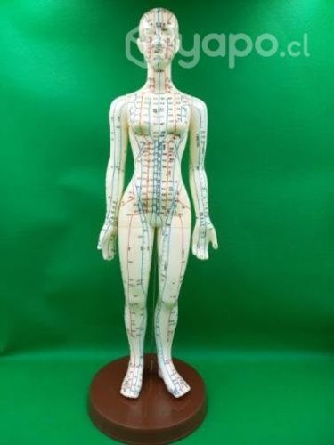 Insumos de acupuntura