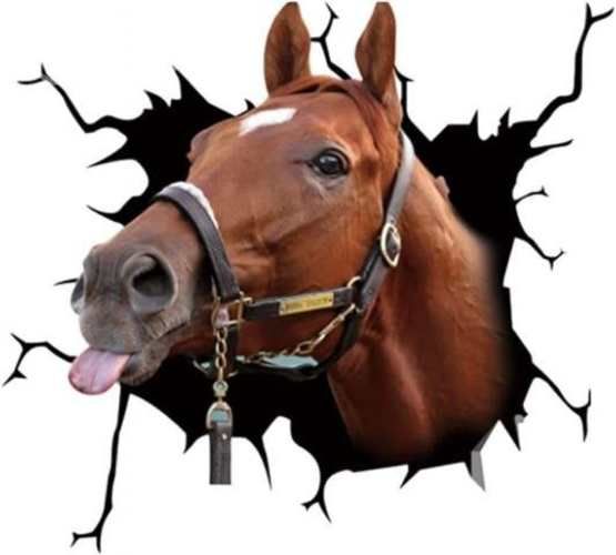 Stickers pegatina pitbull caballo perro auto pared