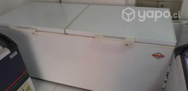 Congeladora industrial 612 l maigas