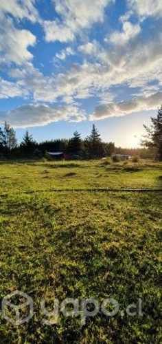 Oportunidad de campo