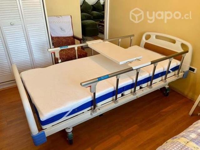Catre Clínico Casi Nuevo, Full Accesorios