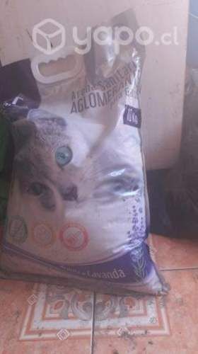 A r e n e ro de gato