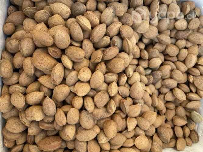 Almendras con cáscaras