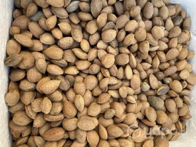 Almendras con cáscaras