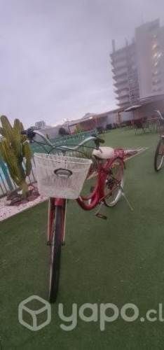 Bicicleta de paseo
