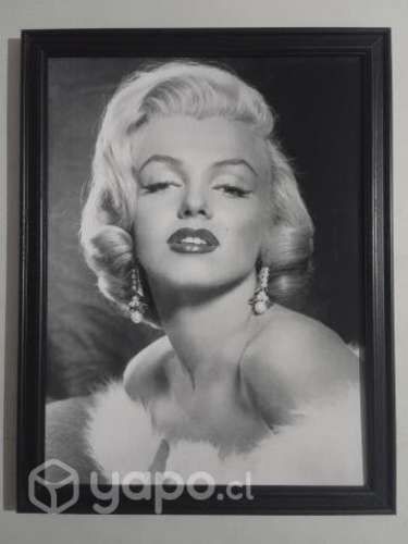 Cuadros de MARILYN MONROE
