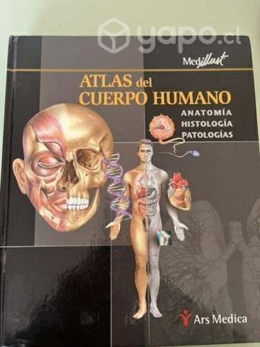 Atlas del cuerpo humano, ilustraciones Medillust