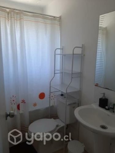 pieza para estudiante U.Los Lagos prefere