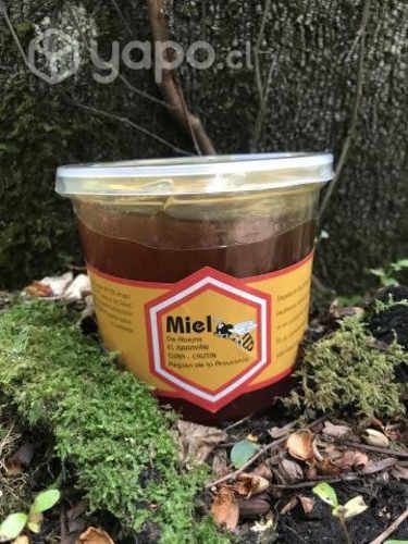 Miel Multiflora