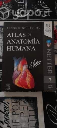 Libro Anatomía Netter 7ma edición