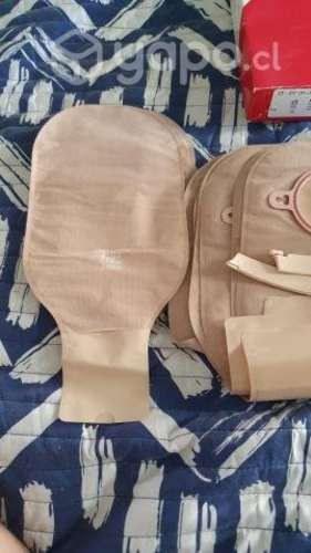 Placas y Bolsas Hollister