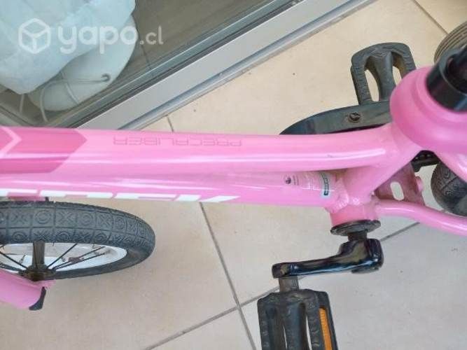 Bicicleta trek Infantil