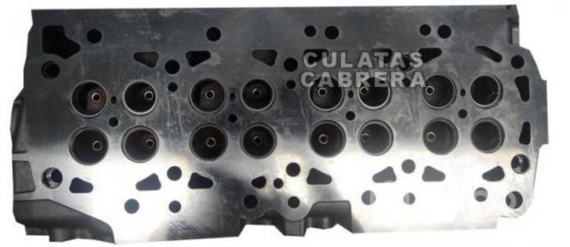 Culata terrano japonesa