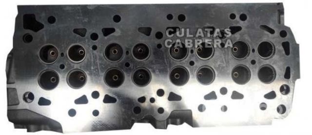 Culata terrano japonesa