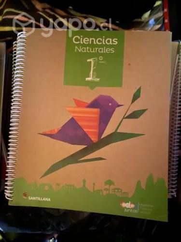 Libros 1° básico, santillana proyecto todos juntos