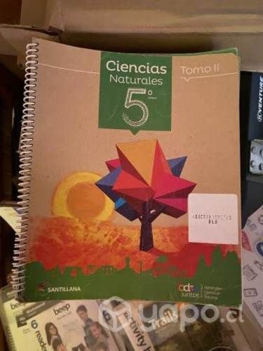 Libros 5° básico Santillana proyecto todos juntos