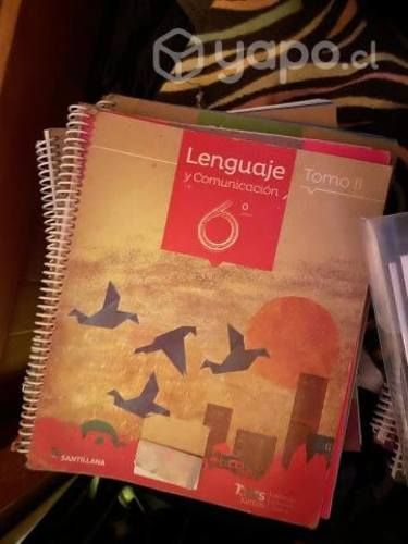 Libros 6° básico santillana proyecto todos juntos