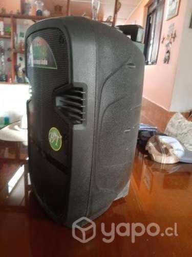 Amplificador speaker profesional