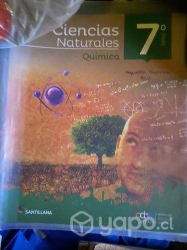 Libros 7° básico, Santillana, proyecto todos junto