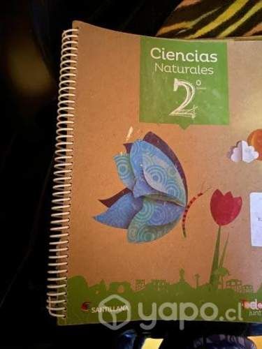 Libros 2° básico santillana proyecto todos juntos