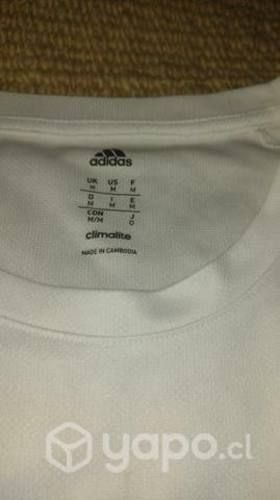 Poleras de marca