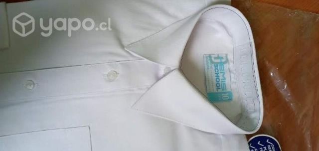Camisa colegio talla 10