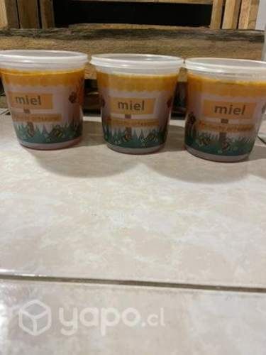 Miel de ulmo 100% natural