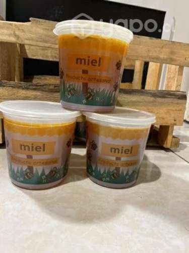 Miel de ulmo 100% natural