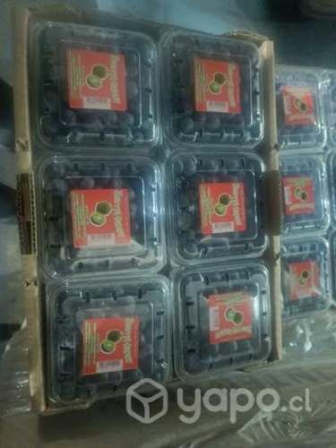 Arándanos por caja