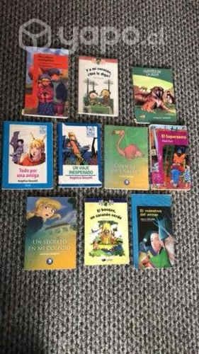 Libros de plan lector