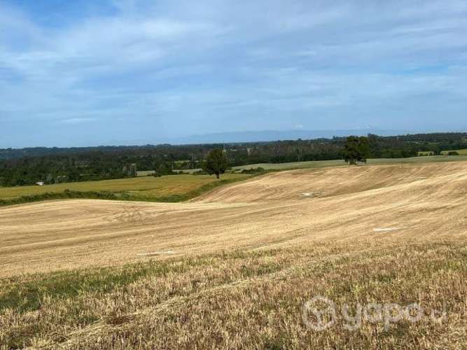 Parcelas con hermosas vistas a 15 min de Osorno