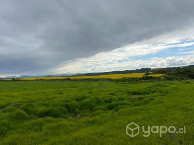 Parcelas con hermosas vistas a 15 min de Osorno