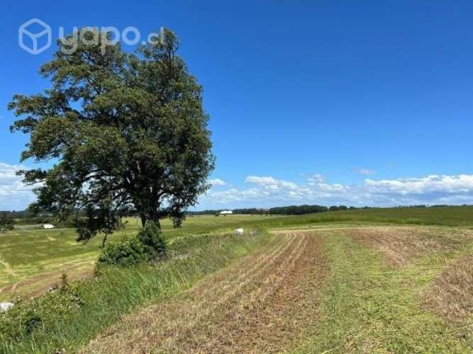 Parcelas con hermosas vistas a 15 min de Osorno