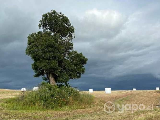 Parcelas con hermosas vistas a 15 min de Osorno