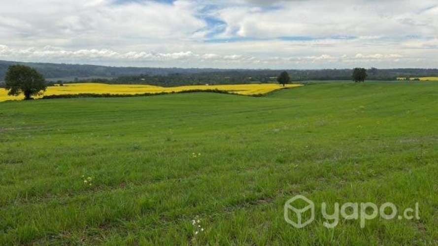 Parcelas con hermosas vistas a 15 min de Osorno