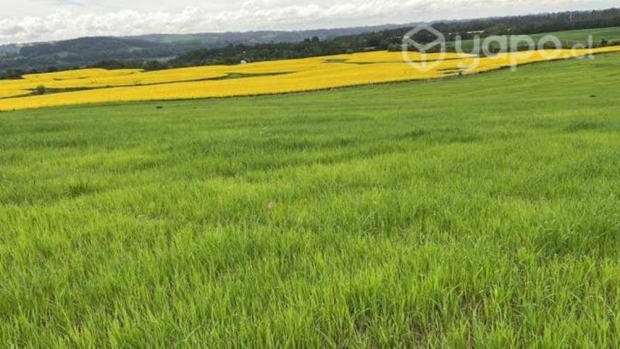 Parcelas con hermosas vistas a 15 min de Osorno