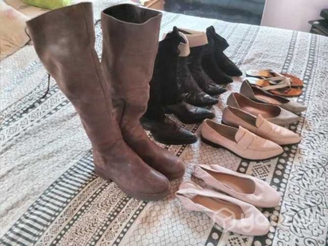 Opottunidad, mis zapatos, botas y botines