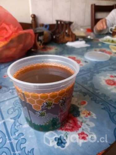 Miel de Quillay - 100% natural