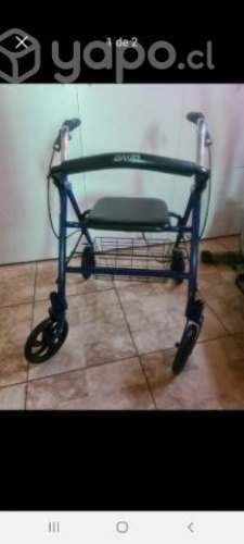 Andador burrito con ruedas