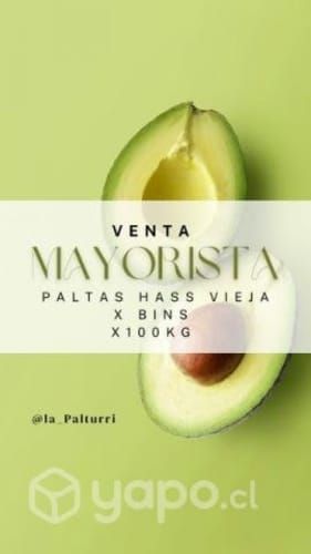 Palta Hass 1a con 2a