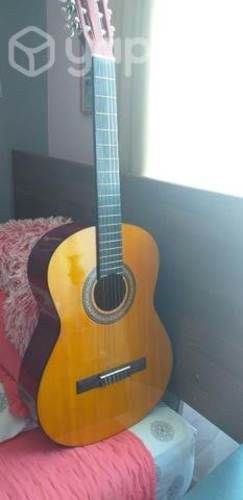 Guitarra musical con su funda para transportarla