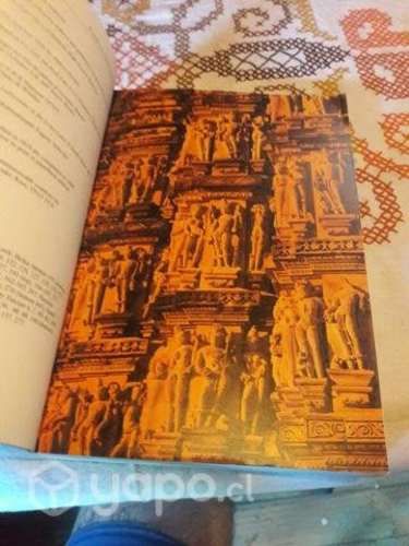 Libro Introducción a la India (Inglés)