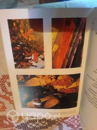 Libro Introducción a la India (Inglés)