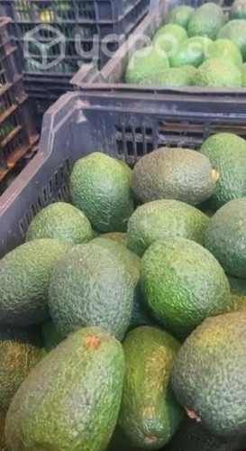 Paltas hass 3800.- el kilo