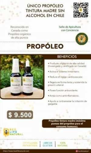 Primer Propóleo Chileno tintura madre sin alcohol
