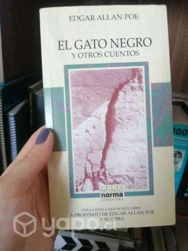 El gato negro y otros cuentos de Edgar Allan Poe