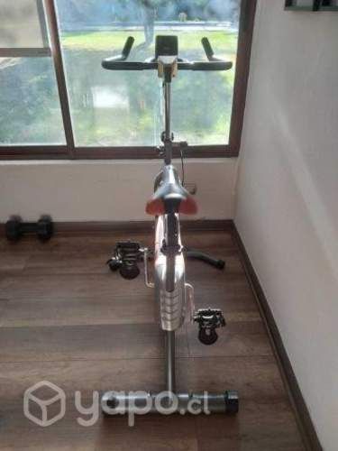 Bicicleta estatica everlast